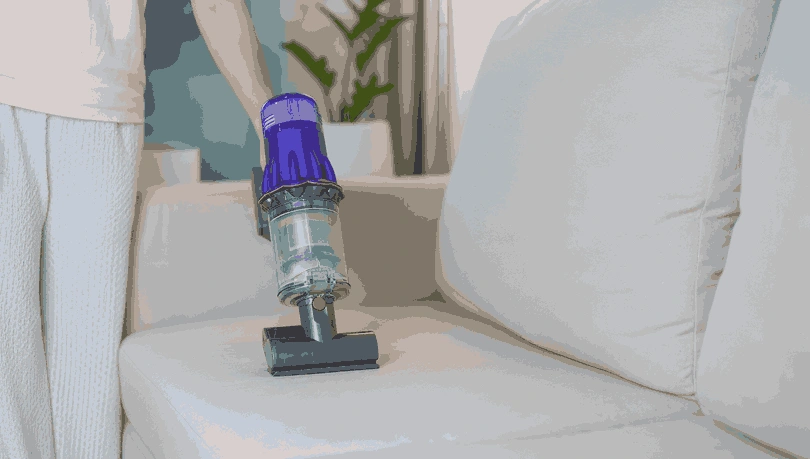 Professional Upholstery Cleaning Diamond Creek